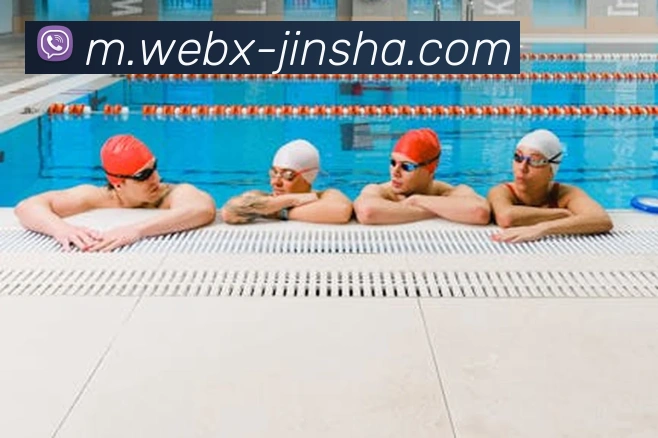 多媒体互动体验